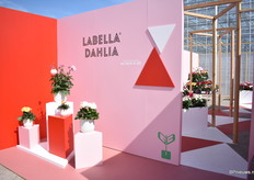 Labella Dahlia van Beekenkamp verwelkomde de bezoekers van Beekenkamp.